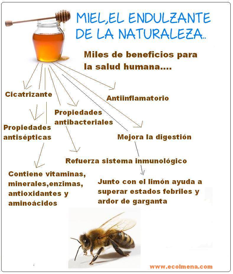 Ser codificado el alcohol de los tacos